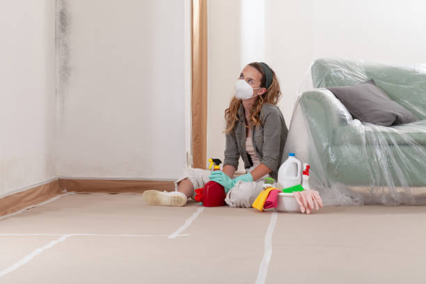 Reliable Commercial Mold Remediation contractor in Cedar Grove, NJ by WQB Mold Removal